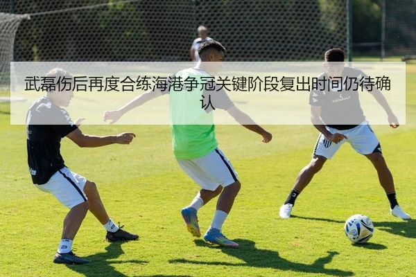武磊伤后再度合练海港争冠关键阶段复出时间仍待确认